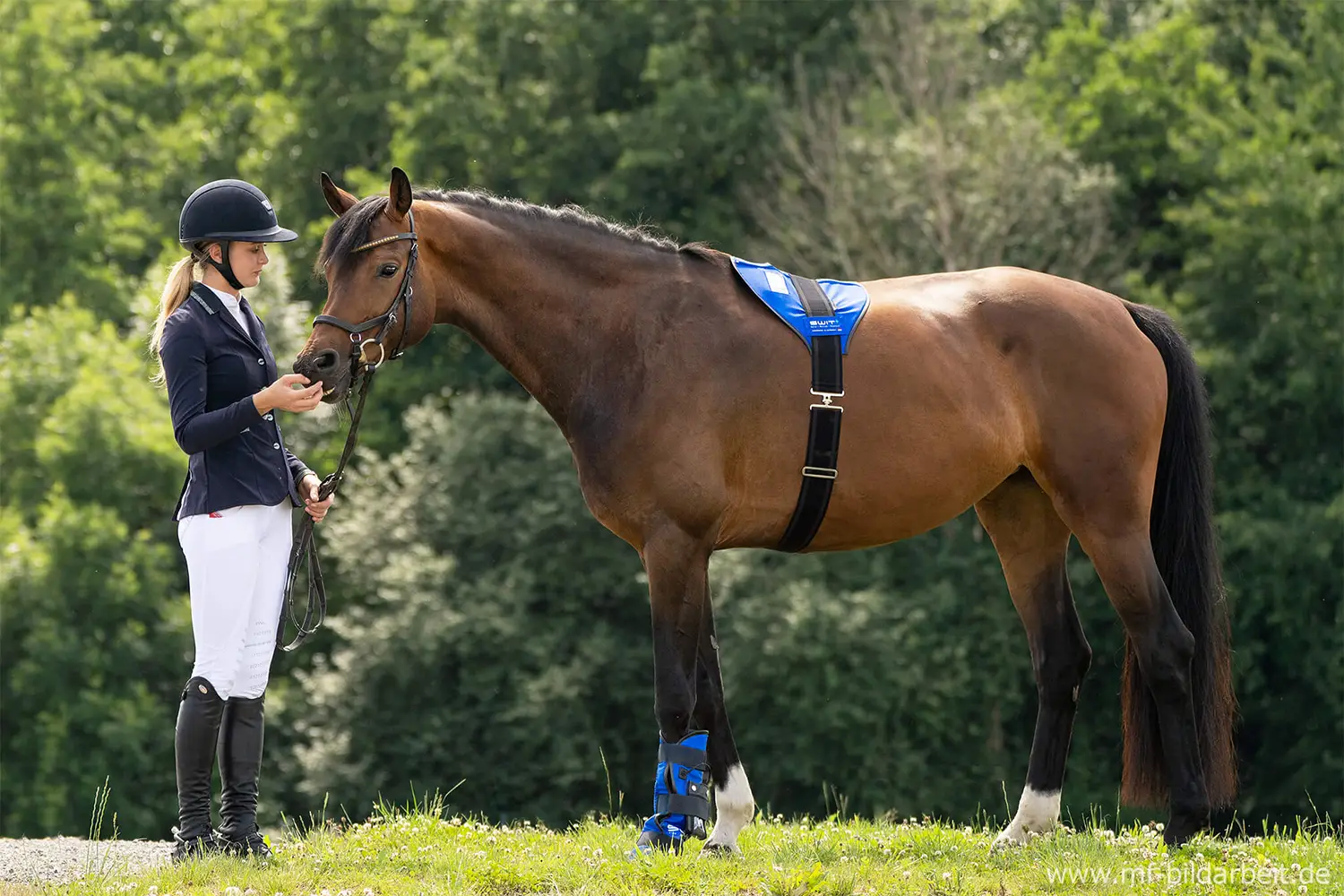 SWIT+ Balance Gürtel mit Neurobalance-System für Pferde.
