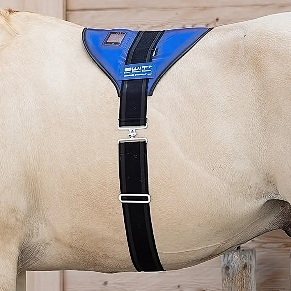 SWIT+ Balance Gürtel mit Neurobalance-System für Pferde.