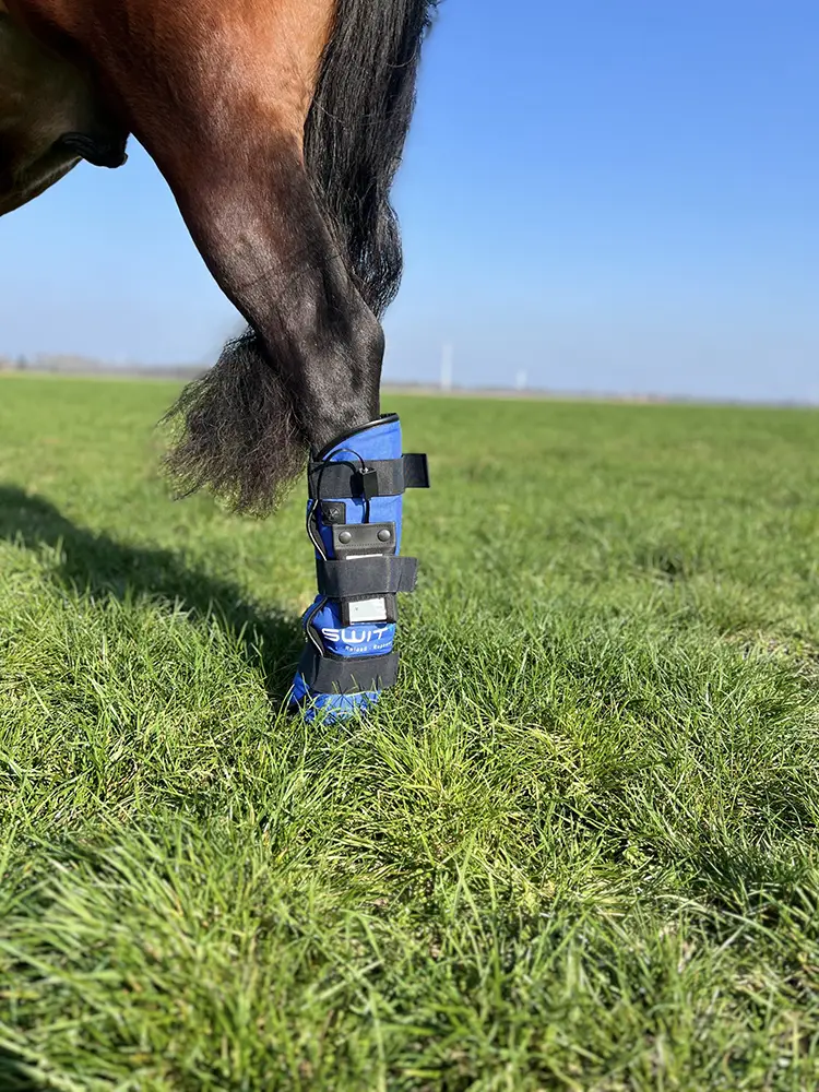 SWIT+ Fetlock Boots with Neurobalance system for horses – targeted joint support