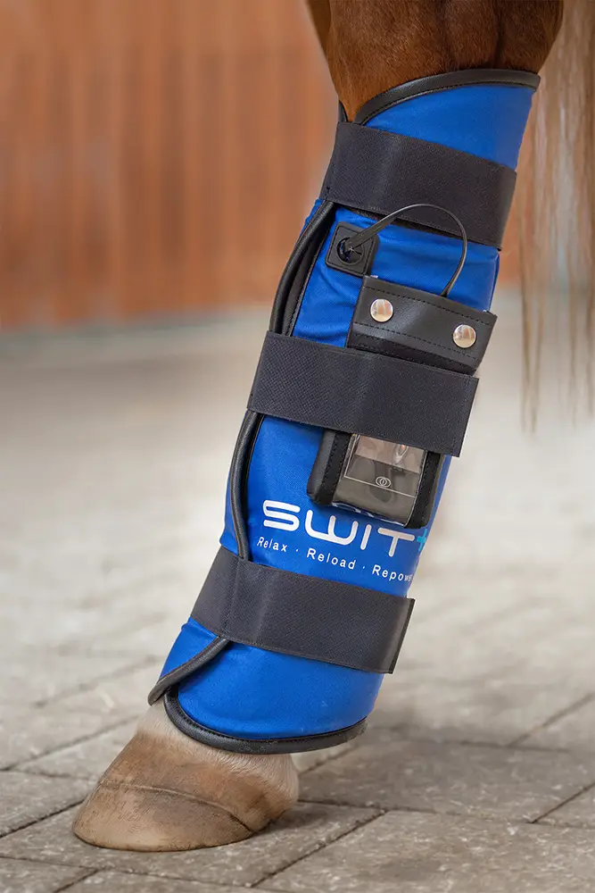 SWIT+ Fetlock Boots with Neurobalance system for horses – targeted joint support