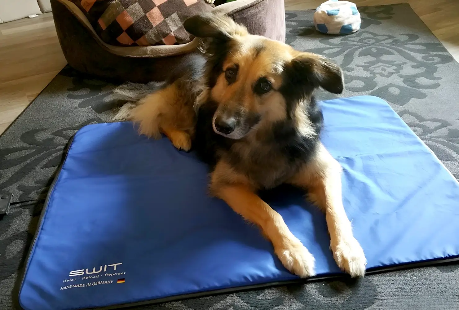 SWIT® Hundematte mit integriertem Neurobalance-System in verschiedenen Farben und 5 Modi für Entspannung, Fokus & Regeneration