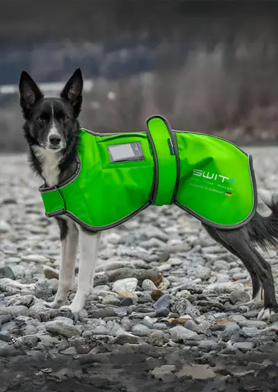 SWIT® Hundejacke mit integriertem Neurobalance-System – in verschiedenen Farben erhältlich mit 5 Modi zur Förderung von Entspannung, Konzentration und Regeneration.