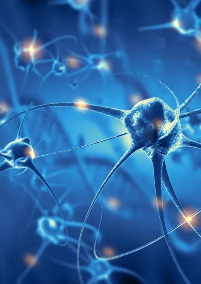 Blau leuchtende Neuronen in einer neuronalen Netzwerkstruktur – Darstellung von Gehirnaktivität und Synapsen.