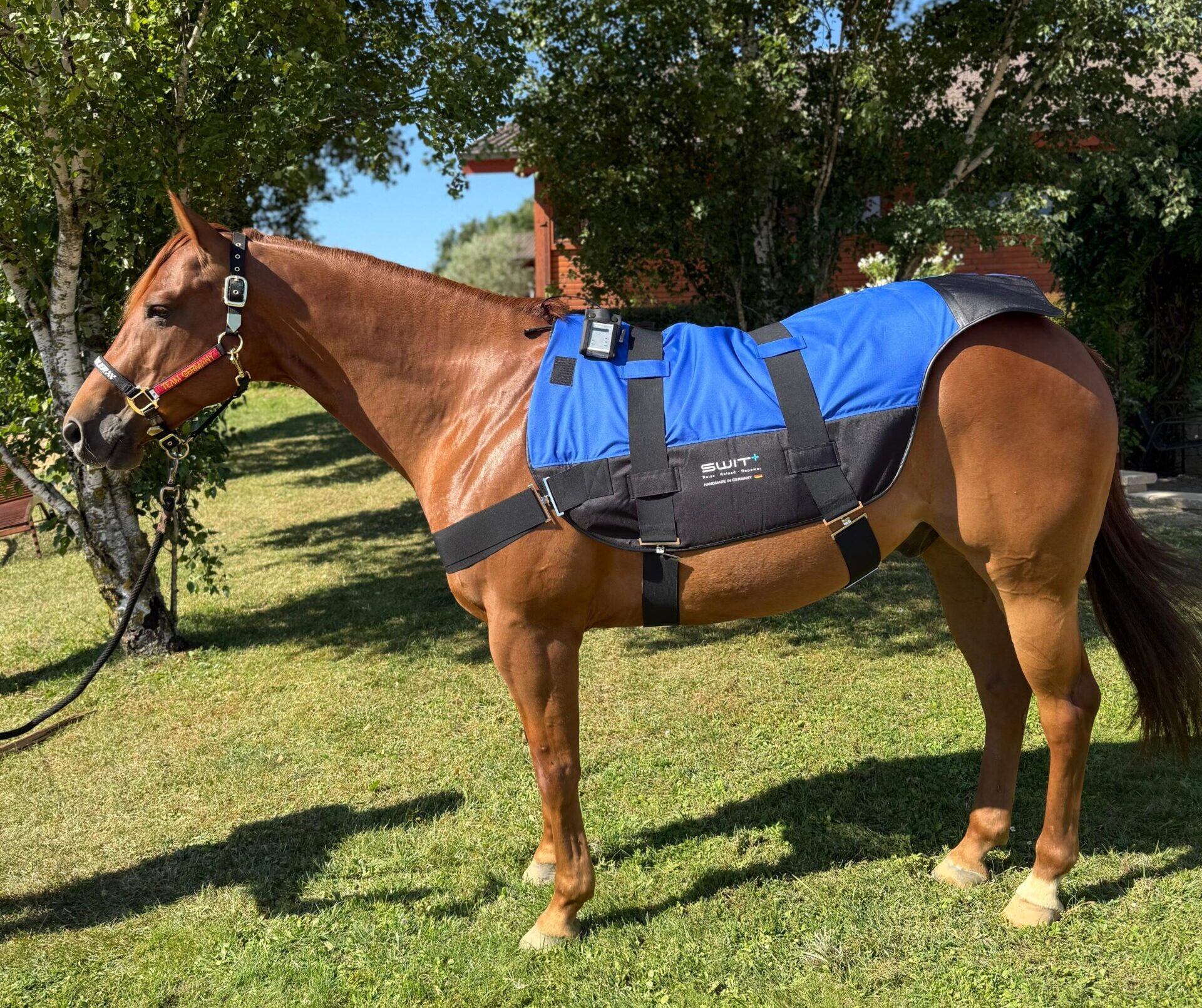 SWIT+ Hybrid Satteldecke mit integriertem Neurobalance-System für Pferde