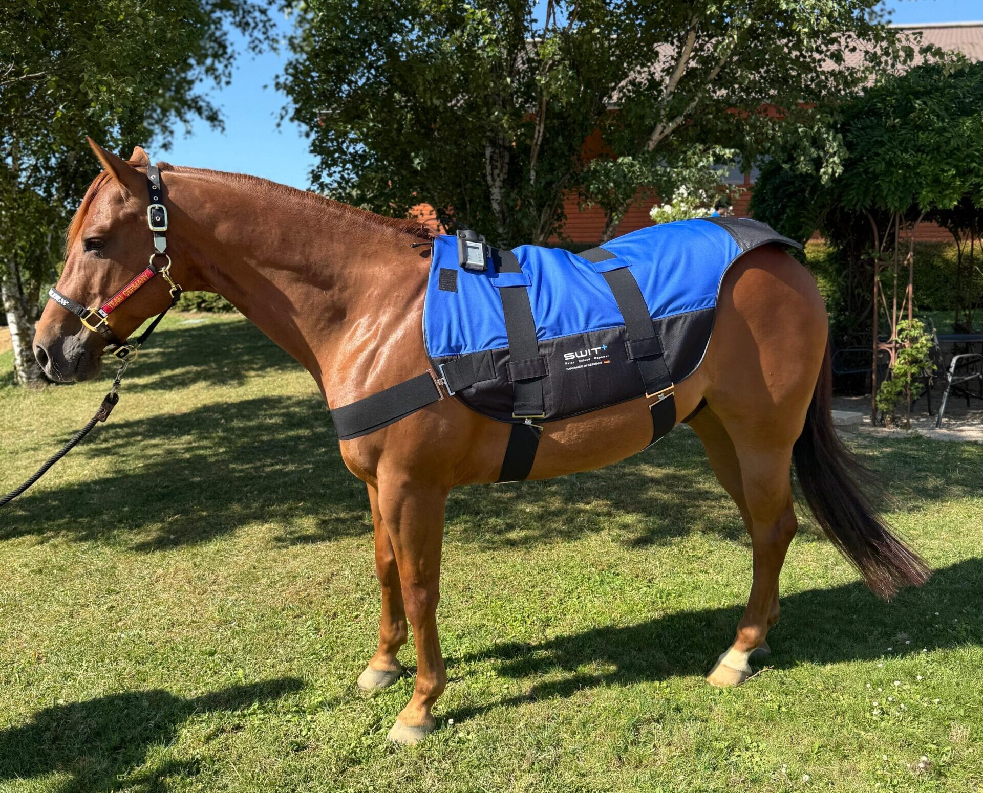 SWIT+ Hybrid Satteldecke mit integriertem Neurobalance-System für Pferde
